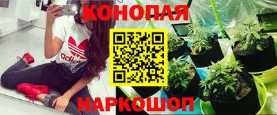 мет Кандалакша