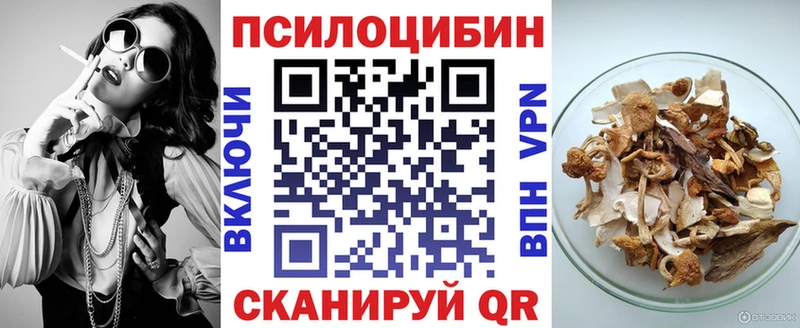 Галлюциногенные грибы MAGIC MUSHROOMS  закладки  Новокузнецк 