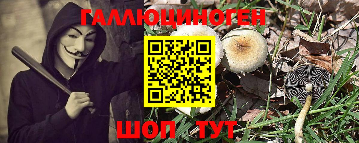 Галлюциногенные грибы ЛСД  Псилоцибиновые грибы ЛСД  Новокузнецк 