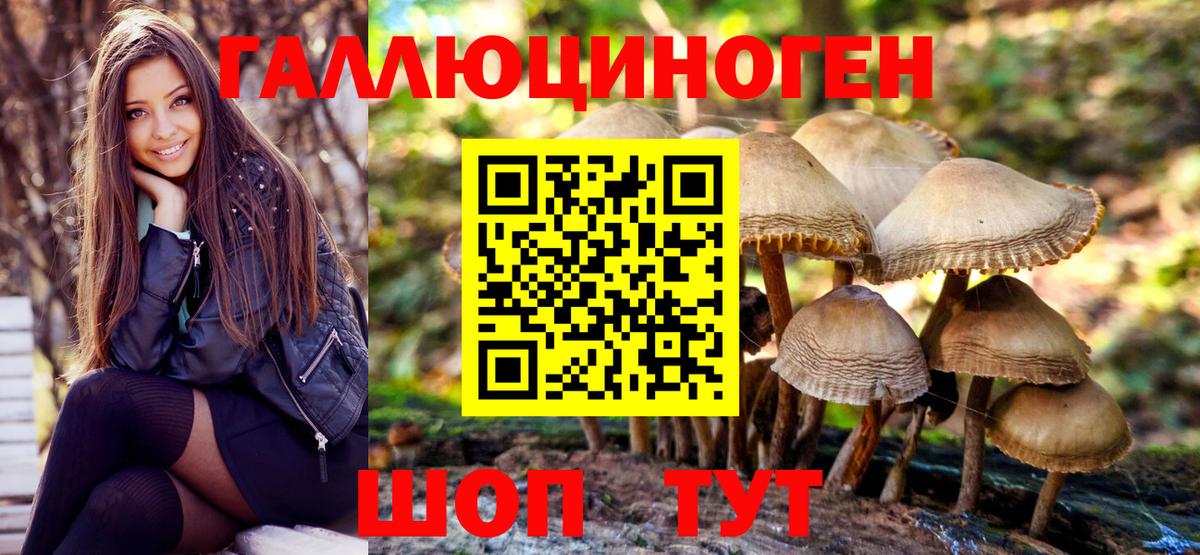 Галлюциногенные грибы Magic Shrooms Новокузнецк