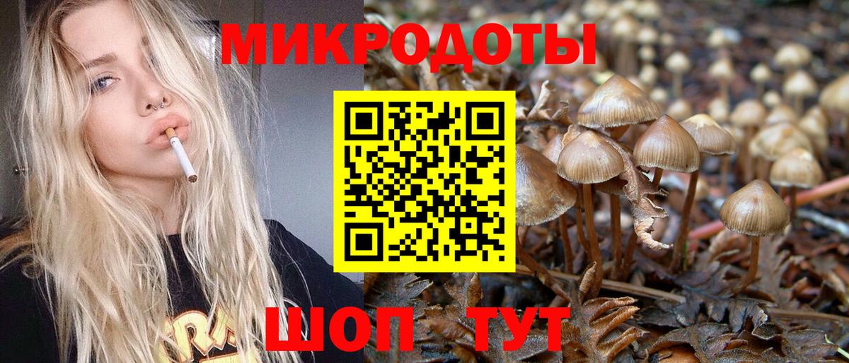 Галлюциногенные грибы ЛСД  Вход с VPN  где купить наркотик  Новокузнецк 