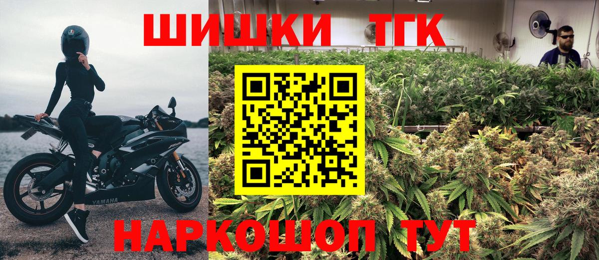 Каннабис план Новокузнецк